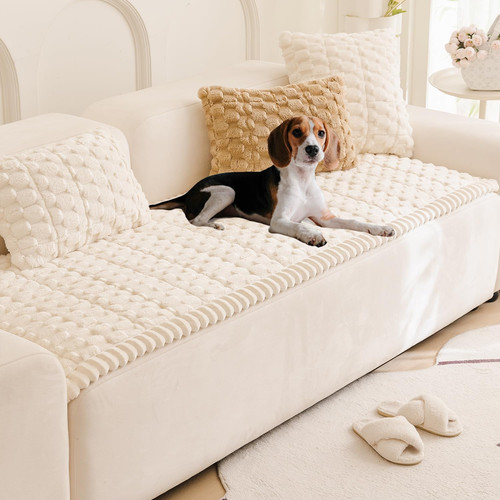 Couch cover for dogs - couch, fuzzy