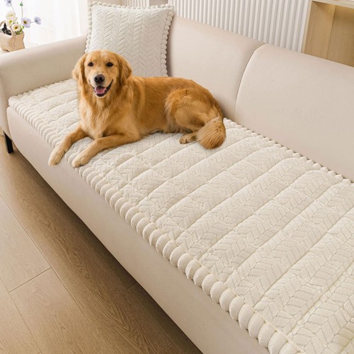 Couch cover for - dogs,, non