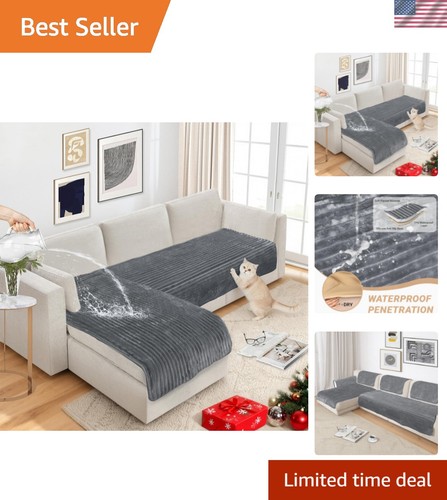 Couch covers for dogs - couch,